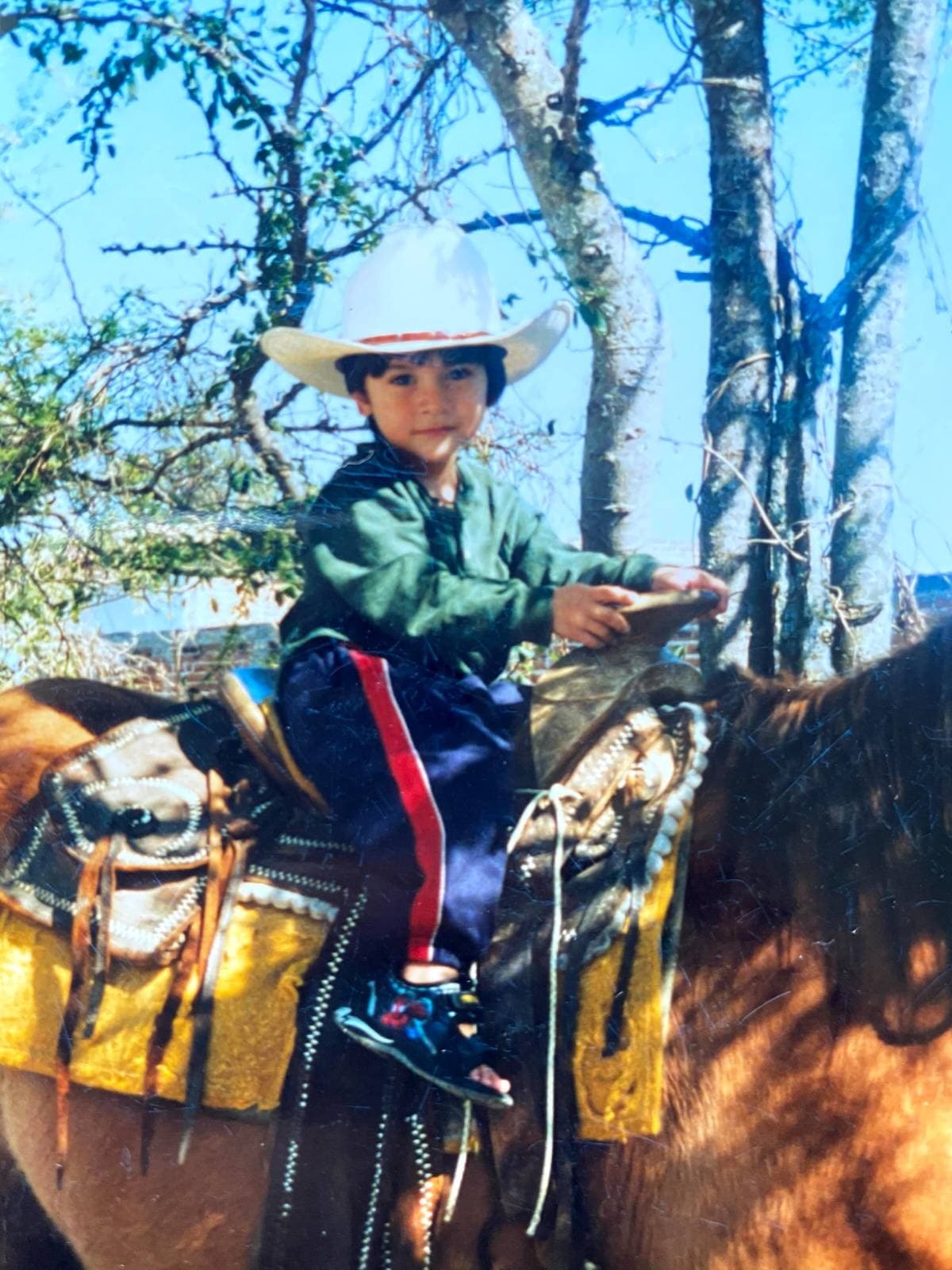 Young cowboy